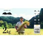ふるさと納税 米 岐阜