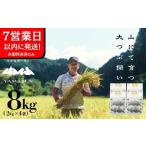 米 即納 令和7年産米 すがたらいす 山仙 いのちの壱 2kg×4袋