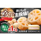 人参 大根 他根菜 2027年1月~発送 真空れんこん
