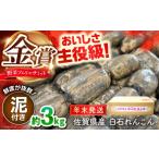 人参 大根 他根菜 年末発送 金賞受賞 松尾青果のこだわり白…