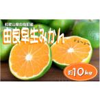 ふるさと納税 果物類 みかん 和歌山県 新宮市 先行予約 和歌山由良町産 由良早生みかん 約10kg 訳あり キズ 御家庭用 サイズ混合 sml136