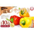 野菜類 隔月2回定期便 温泉パプリカ 計約10kg 約5kg×2回