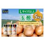 ふるさと納税 野菜類 玉ねぎ 北海道 北見市 2025年12月中お届け 玉葱 5kg Lサイズ以上 まいにちたまねぎ〔和洋中〕3本セット付き ( 玉ねぎ たまねぎ 調味料 …