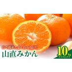 みかん 山から直送 箱込 10kg