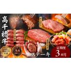 牛肉 サーロイン 3か月定期便 高千穂牛ステーキ定期便