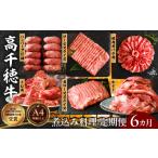 牛肉 セット 6か月定期便 高千穂牛煮込み料理6か月定期便