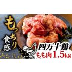 fu.... налог мидзутаки Kochi префектура . мыс город торговая марка курица 4 десять тысяч 10 курица бедренное мясо 1.5kg ( 500g × 3 упаковка ) | порез . cut . простой час короткий комплект разрезанный . птица мясо .... куриное бедро...