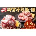 豚肉 バラ 3ヶ月連続 四万十ブランド 鶏肉1kg