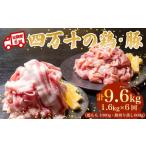 豚肉 バラ 6ヶ月連続 四万十ブランド 鶏肉1kg