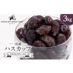 果物類 冷凍ハスカップ 3kg_ ハスカップ
