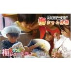 fu.... налог body . билет Wakayama префектура . кастрюля блок красочный слива сок & слива джем ... body . билет iwasho004A