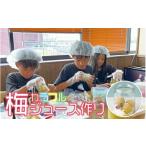 fu.... налог body . билет Wakayama префектура . кастрюля блок красочный слива сок ... body . пара билет iwasho011A