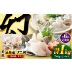 旬の鮮魚等 6回定期便 クエ鍋用クエパック500g×2