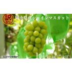 訳あり シャインマスカット 2房 合計1.1kg以上