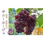 ふるさと納税 果物類 ぶどう 徳島県 阿波市 先行予約 ぶどう サニールージュ 2kg 《 2025年 7月 下旬 〜 順次発送 》フルーツ ぶどう 葡萄 期間限定 旬 産地…