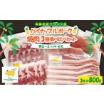 豚肉 焼肉 バーベキュー パイナップルポーク