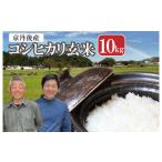 ふるさと納税 玄米 京都府 京丹後市  事業者応援 玄米・予約／京都の家族経営農家直送・2026年産 丹後弥栄産コシヒカリ（玄米10kg）わだかわファーム　WD00006
