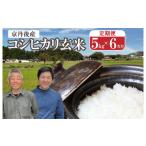 ふるさと納税 玄米 京都府 京丹後市  事業者応援 玄米定期便（5kg×6回）予約／京都の家族経営農家直送・2026年産 丹後弥栄産コシヒカリ（玄米5kg）月1回×6ヵ…