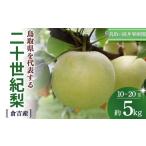 ふるさと納税 梨 鳥取県 倉吉市 二十世紀梨 5kg(10〜20玉) 倉吉産 福井果樹園 二十世紀梨 20世紀梨 梨 なし ナシ ブランド梨 果物 フルーツ 和梨 数量限定