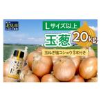 ふるさと納税 野菜類 玉ねぎ 北海道 北見市 2025年11月中お届け 玉葱 20kg Lサイズ以上 玉ねぎ塩こしょう 1本付き ( タマネギ 玉葱 野菜 調味料 塩コショウ )…