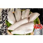 旬の鮮魚等 スピード配送 銀ひらす 5kg