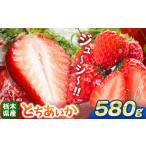 ふるさと納税 いちご 栃木県 那珂川町 とちあいか 580g | 果物 くだもの フルーツ 野菜 やさい ヤサイ 苺 イチゴ いちご とちあいか 新鮮 甘い 数量 限定 美味…