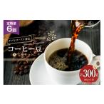 定期便 6回 コーヒー豆 3種セット 100g×3袋