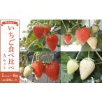 ふるさと納税 いちご 栃木県 日光市  先行予約受付 2026年1月〜発送開始 4種のいちご食べ比べ とちおとめ、とちあいか、スカイベリー、ミルキーベリーのAセッ…