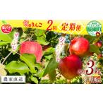 りんご 旬のりんご 定期便 秀 特秀 3kg