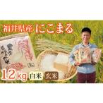 ふるさと納税 米 にこまる 福井県 越前市 〈先行予約・新米〉にこまる 12kg(3kg×4袋) /令和7年 福井県産 (玄米)2025年12月発送 少量サイズ便利 12月(玄米…