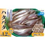 旬の鮮魚等 小さいサイズのハタハタ 計1.2kg