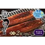 ふるさと納税 うなぎ 鹿児島県 大崎町 父の日 鹿児島県産うなぎ 特大蒲焼き2尾 360g以上