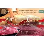 牛肉 サーロイン 神戸ビーフと美の競演 1