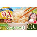 ふるさと納税 玄米 山口県 美祢市 令和7年度産 新米 きぬむすめ 玄米 10kg 先行予約 2025年10月〜より順次発送予定 | 米 精米 新米 玄米 米 雑穀 お米 コメ …