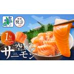 ふるさと納税 魚貝類 サーモン 大阪府 泉佐野市 無地熨斗 アトランティックサーモン 総量 1kg以上 フィレ エコパック 500g以上×2P 訳あり サイズ不揃い 刺身…