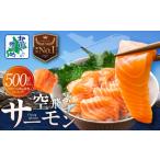ふるさと納税 魚貝類 サーモン 大阪府 泉佐野市 アトランティックサーモン 総量 500g以上 フィレ エコパック 訳あり サイズ不揃い 刺身 さーもん 冷凍 北国か…