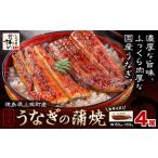 ふるさと納税 うなぎ 徳島県 上板町 うなぎ屋かわすい 国産うなぎの蒲焼 計4尾 (1尾150g-169g) 川口水産株式会社《30日以内に出荷予定(土日祝除く)》徳島県 上…