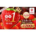 いちご 2027年 受付中 チョイス とちあいか