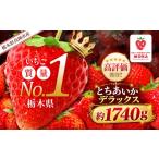いちご 2027年 受付中 チョイス とちあいかデラックス