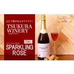 ワイン スパークリングワイン SPARKLING