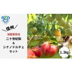 ふるさと納税 りんご 長野県 松川町 HF34-25A 信州松川町産 二十世紀梨&シナノドルチェ 梨とりんご2種セット 約1.3kg /9月後半発送開始予定 // 長野県 南…