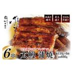 ふるさと納税 うなぎ 静岡県 吉田町 ブランド鰻 でしこ うなぎ 国産 静岡 太鰻 蒲焼 太串 110g 6串 計660g ヤママツ村田商店 静岡県 吉田町 22424604-a 鰻 ウ…