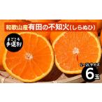ふるさと納税 みかん・柑橘類 デコポン 和歌山県 美浜町  まごころ手選別 和歌山産　有田の不知火(しらぬひ)(6玉×1箱、L〜2Lサイズ) 2026年2月上旬〜4月下旬…