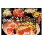 魚貝類 サーモン 詰合せ 漁師めし 〈プレミアム〉