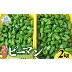 ふるさと納税 野菜類 岩手県 陸前高田市 先行予約 訳あり 規格外 ピーマン 約2kg 不揃い 産地直送 新鮮 料理 野菜 大容量 岩手県 陸前高田市 Farm Koganeyama …