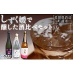 日本酒 純米吟醸酒 酒造好適米 しずく媛 で醸した酒比べセ…