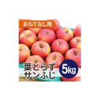 ふるさと納税 りんご 青森県 黒石市 平均糖度13度以上 葉とらずサンふじ 約5kg おもてなし用 1611290