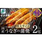 ふるさと納税 うなぎ 大阪府 泉佐野市 土用の丑の日までにお届け 超ビッグサイズ 数量限定 老舗「五郎藤」 関西風地焼き 国産有頭旨鰻 250g×2尾 特大 うなぎ…