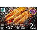 ふるさと納税 うなぎ 大阪府 泉佐野市  7／26土用の丑の日 老舗「五郎藤」関西風地焼き 国産有頭旨鰻 計約240g前後 120g×2尾 うなぎ ウナギ 蒲焼き 炭火