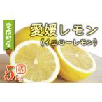 ふるさと納税 みかん・柑橘類 レモン 愛媛県 愛南町 訳あり 愛媛 レモン （ イエローレモン ） 5kg 5000円 柑橘 サイズ 不揃い 家庭用 檸檬 国産 フルーツ 果…